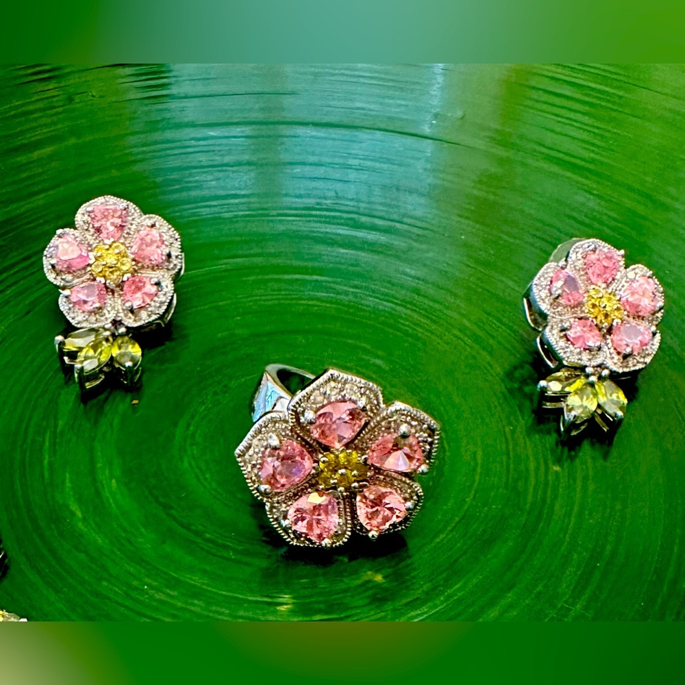 Park Lane Earrings and ring set Size 10